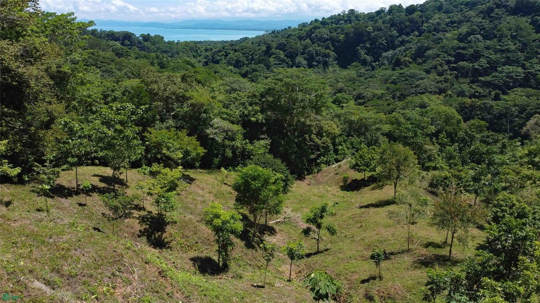 Terreno a Pavones, Provincia di Puntarenas, Costa Rica 5 - 18637527