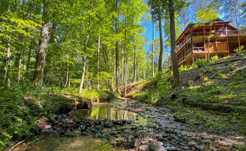Maison à Ellijay, Géorgie, États-Unis 1