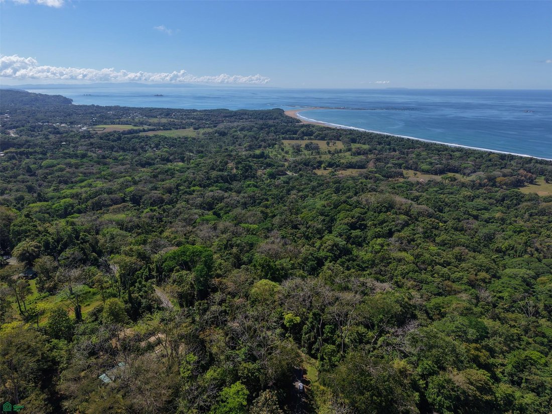 Land in Corredor, Corredores, Costa Rica 1 - 17903776