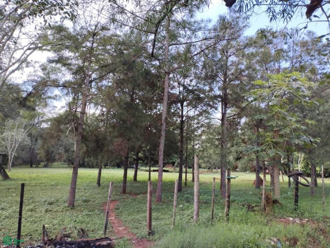Terreno en Luque, Central, Paraguay 4 - 18535283