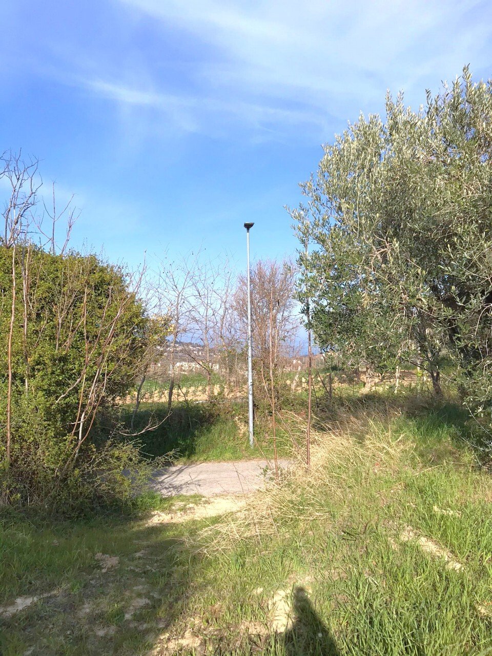 Land in Montesilvano Colle-Via Alcide de Gasperi, Montesilvano, Abruzzen 4 - 18719939