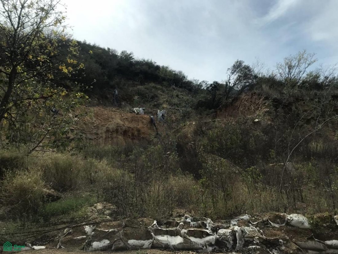 Land in San Pedro Garza García, Nuevo León, Mexiko 5 - 18584361