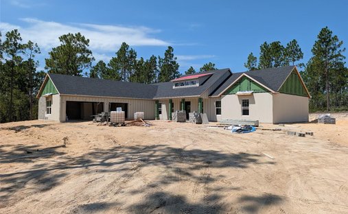 Haus in Morriston, Florida, Vereinigte Staaten 1