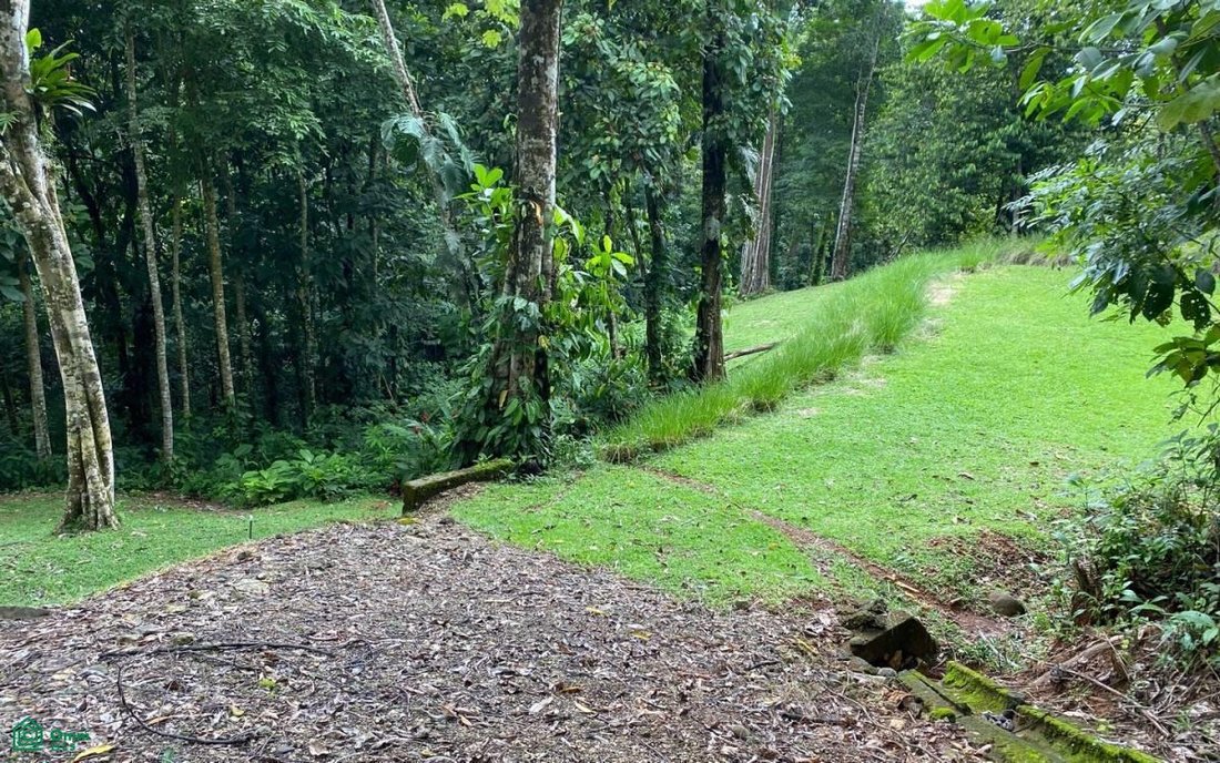 Land in Piñuela, Puntarenas Province, Costa Rica 4 - 17804588
