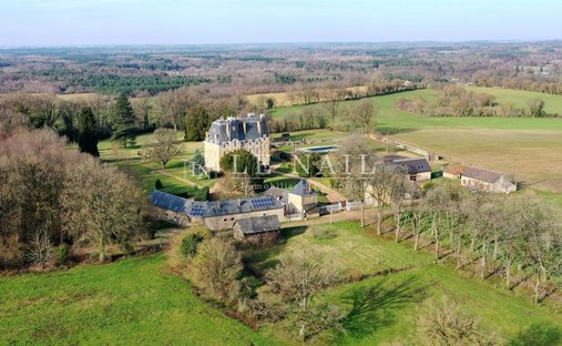 Château à Hôpital-Chasse Royale-Le Pré, Le Mans, France 1