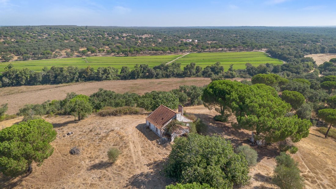 Casa di campagna a Cabrela, Distretto di Évora, Portogallo 3 - 18720778