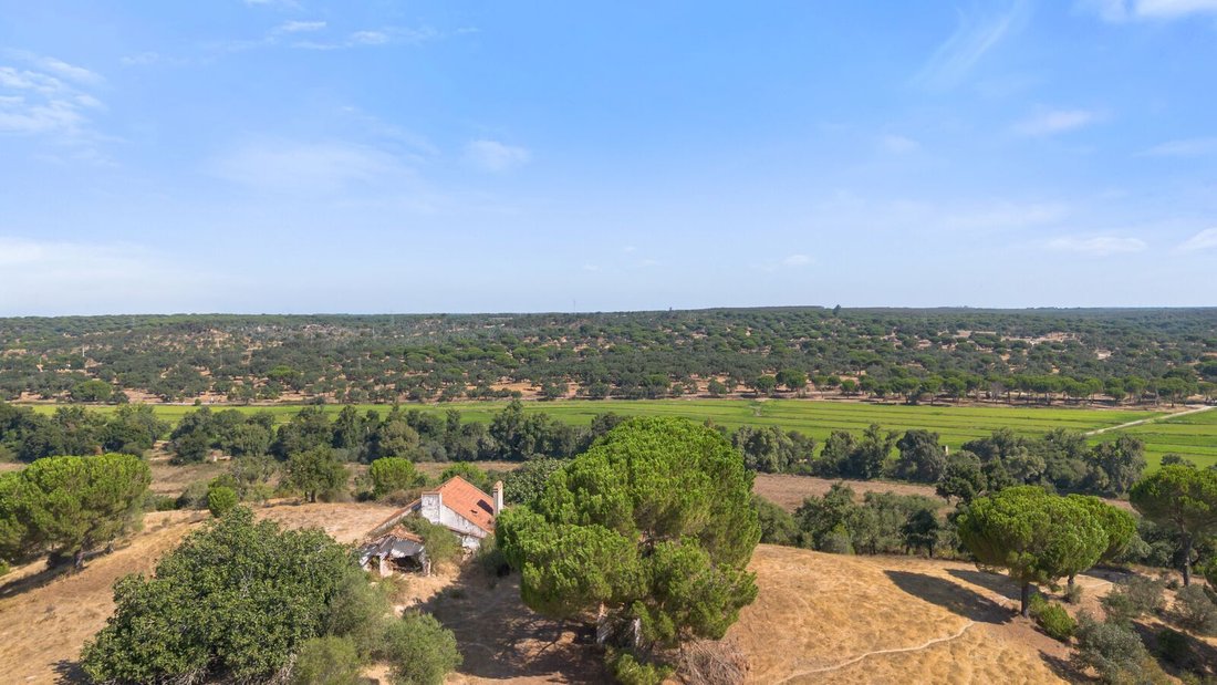 Casa di campagna a Cabrela, Distretto di Évora, Portogallo 5 - 18720778