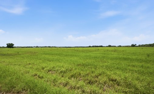 Land in Santo, Texas, United States 1