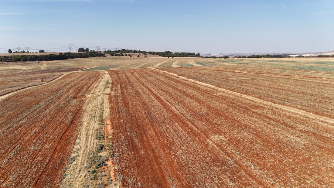 Farm Ranch in City of Tshwane Metropolitan Municipality, Gauteng, South Africa 2 - 18720629