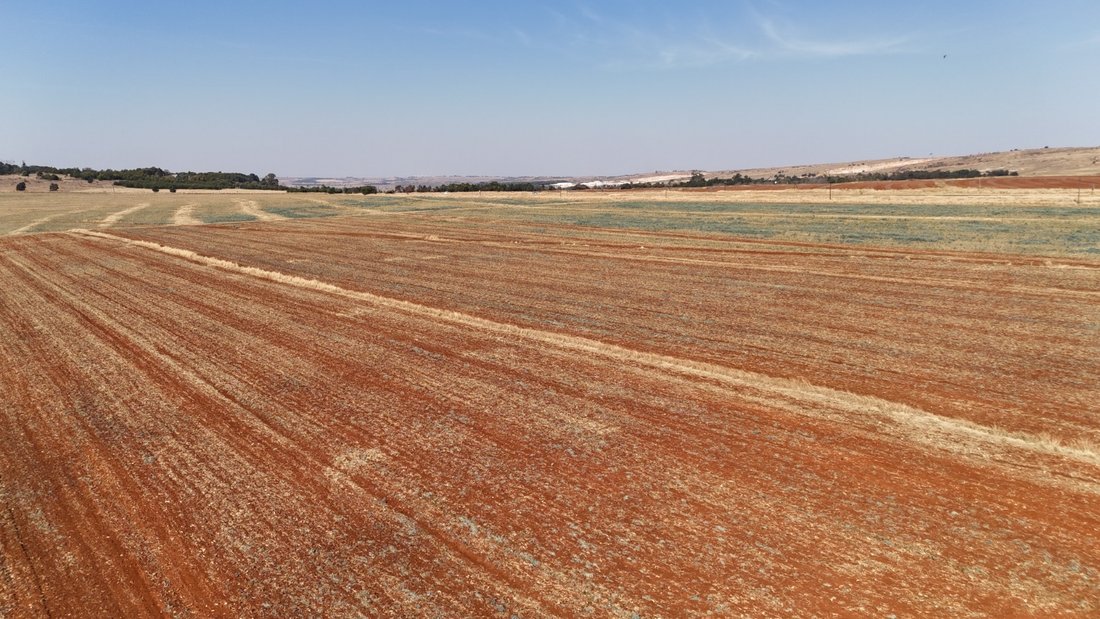 Farm Ranch in City of Tshwane Metropolitan Municipality, Gauteng, South Africa 1 - 18720629