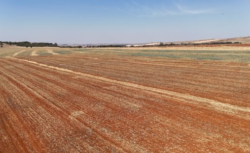 Farm Ranch in Metropolitanstadt Tshwane, Gauteng, Südafrika 1