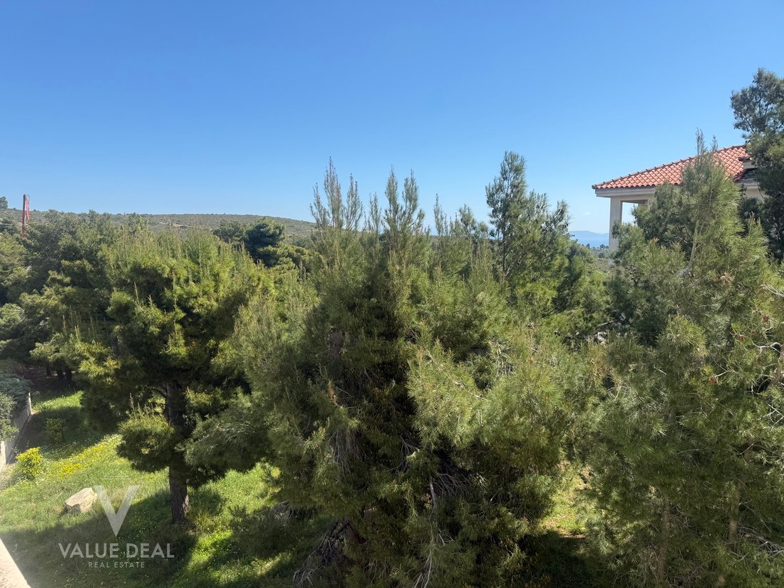 Villa in Dione, Pikermi, Attica 1 - 18725007