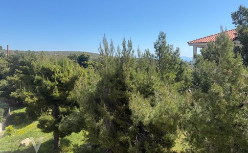 Villa in Dione, Pikermi, Attica 1