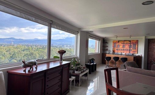 Apartment in Mexico City, Mexico 1