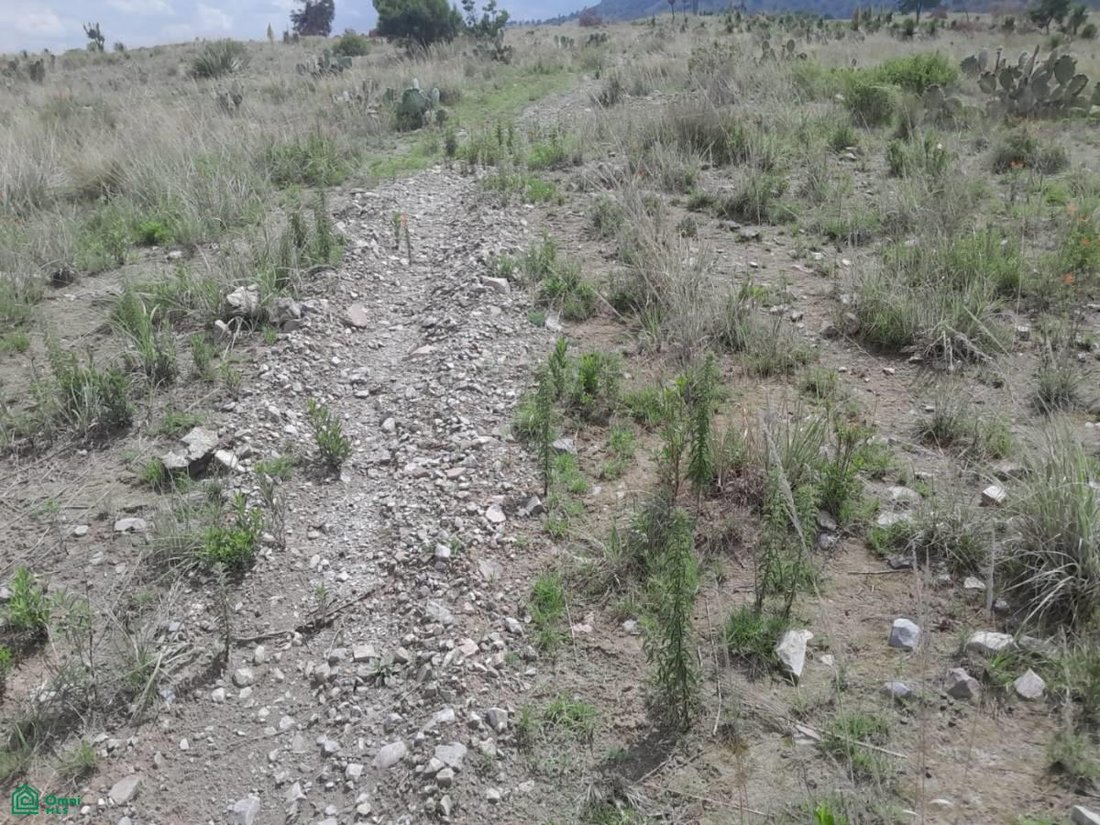 Terreno a Colonia Agrícola Bella Vista, Puebla, Messico 5 - 17811229