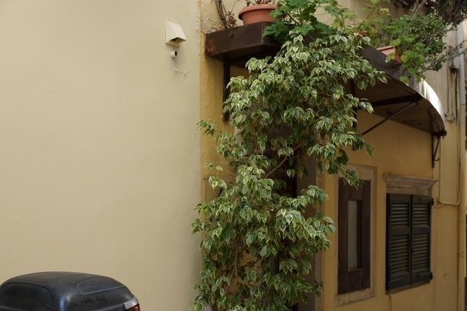 Apartment in Greece 4 - 18725071