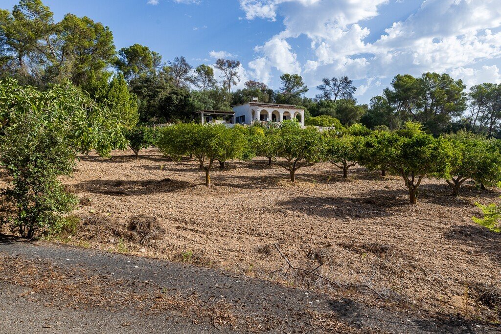 Finca in Algaida, Balearic Islands, Spain 1 - 18728146
