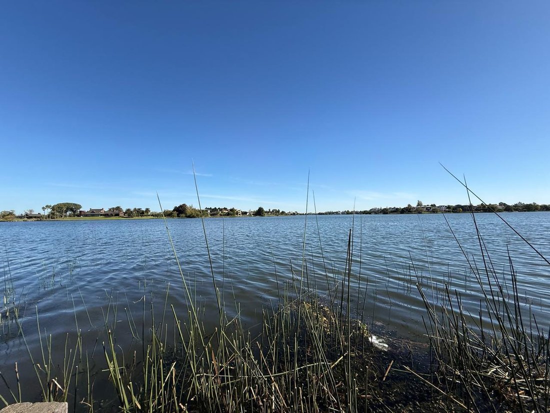Land in Tigre, Buenos Aires Province, Argentina 1 - 18728122