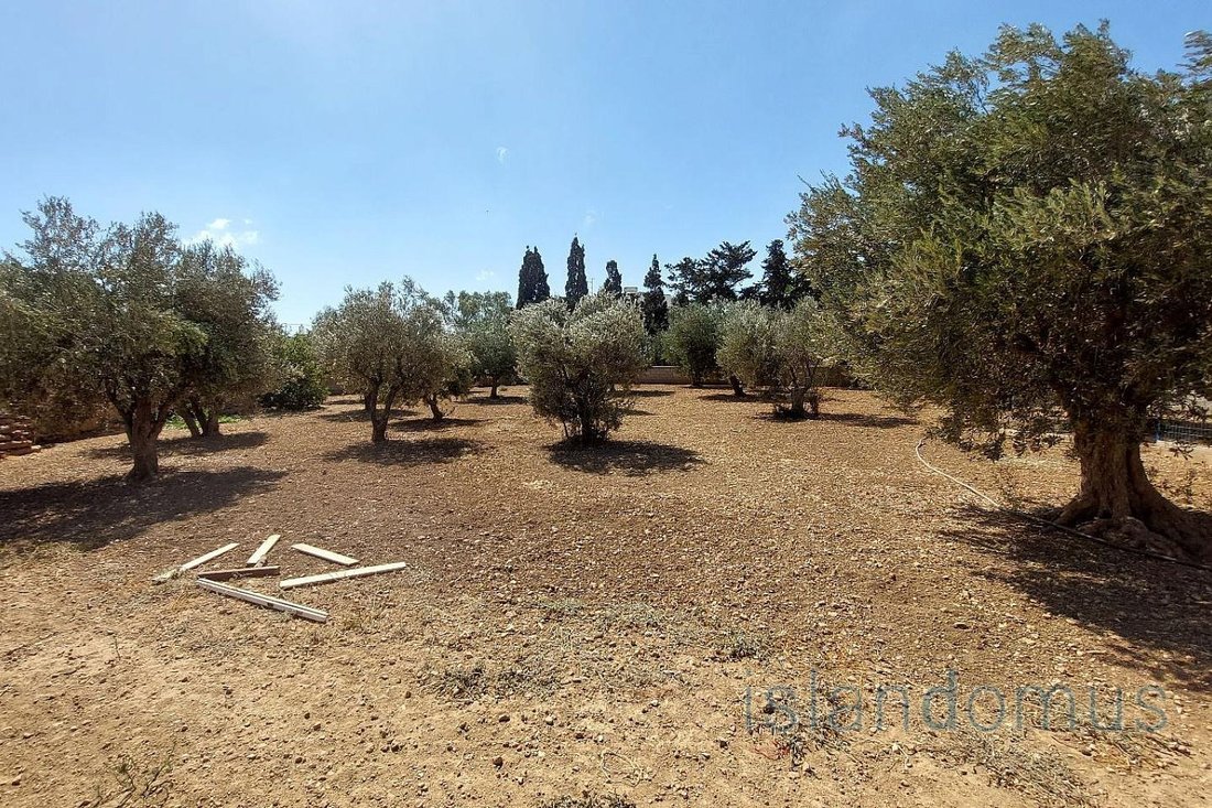 Terreno a Paro, Aegean, Grecia 1 - 18723313
