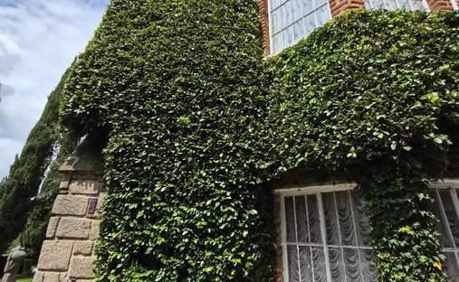 House in Ciudad López Mateos, State of Mexico, Mexico 1