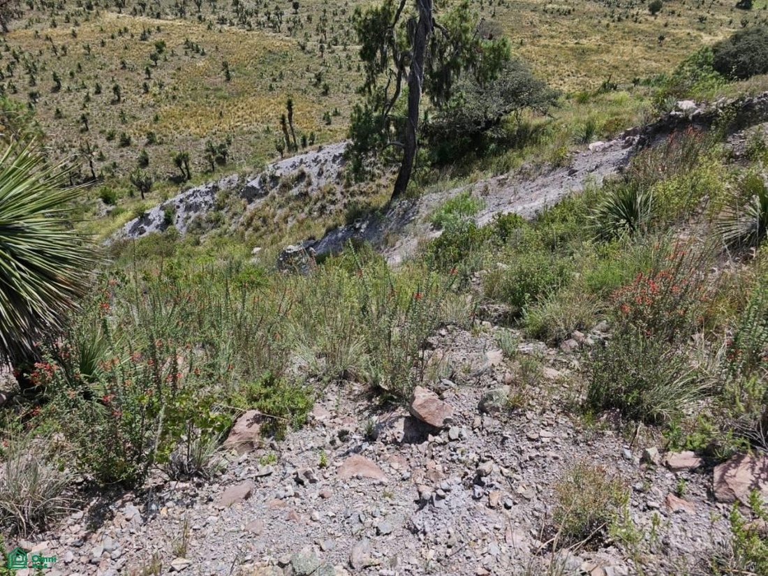 Terreno a Colonia Agrícola Bella Vista, Puebla, Messico 1 - 17811229