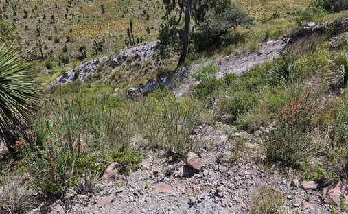 Terreno a Colonia Agrícola Bella Vista, Puebla, Messico 1