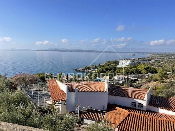 House in Argolis, Peloponnese, Western Greece and the Ionian, Greece 1 - 18722831