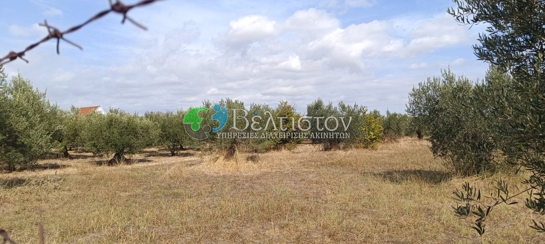 Land in Nea Propontida, Macedonia and Thrace, Greece 4 - 18725129