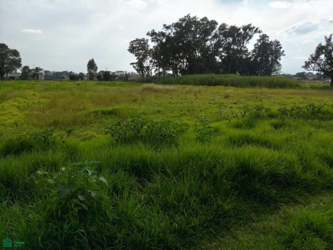 Terreno a Sanctorum, Puebla, Messico 3 - 18726425