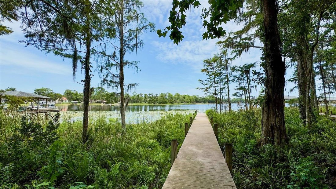 House in Orlando, Florida, United States 5 - 18726652