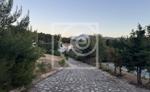 Land in Dionysos, Attika, Griechenland 1