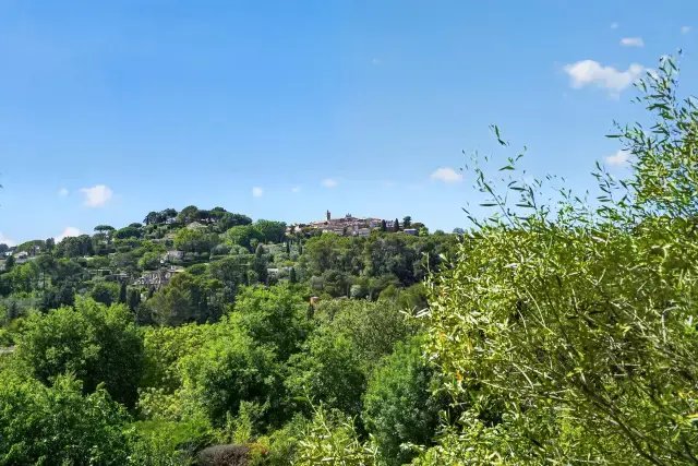 Domaine à Mougins, Provence-Alpes-Côte d'Azur, France 3 - 18008576