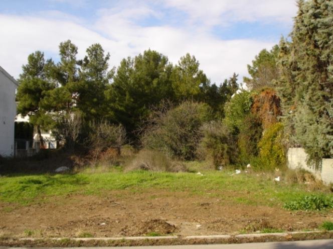 Land in Panorama, Macedonia and Thrace, Greece 5 - 18722323