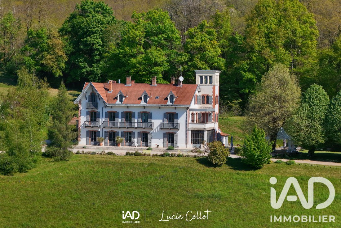 House in Balbins, Ornacieux-Balbins, France 1 - 18509864