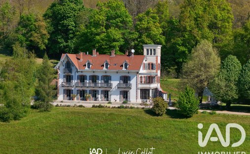 House in Balbins, Ornacieux-Balbins, France 1