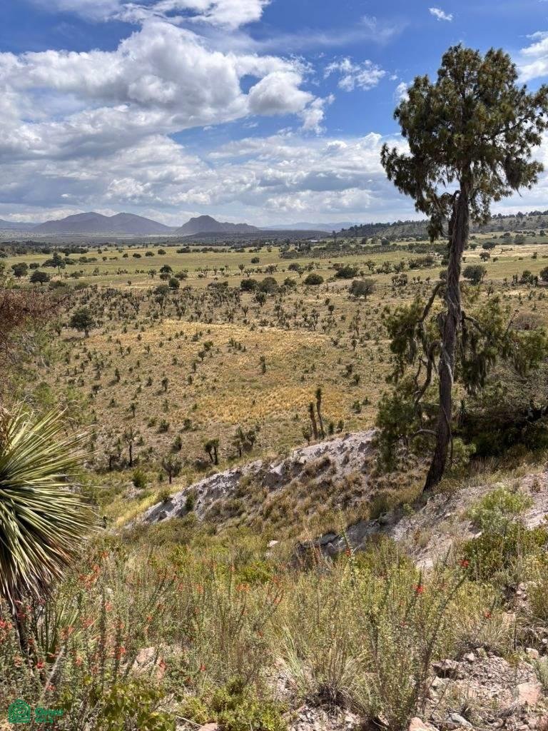 Terreno a Colonia Agrícola Bella Vista, Puebla, Messico 4 - 17811229