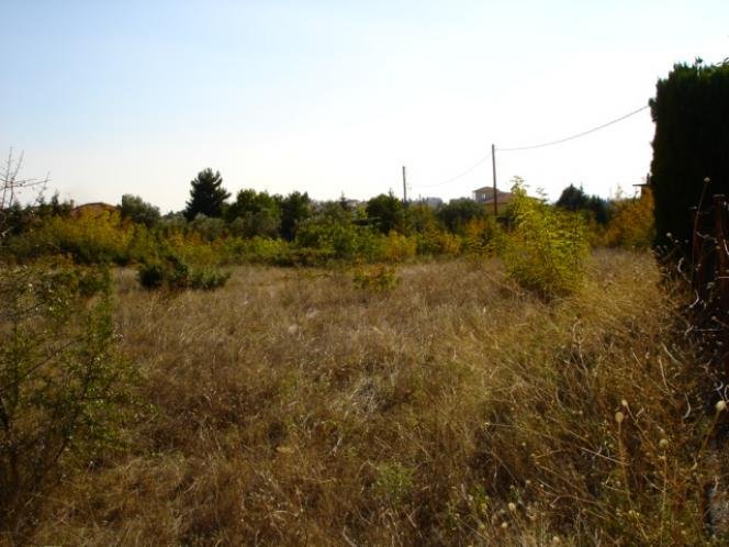Land in Panorama, Macedonia and Thrace, Greece 5 - 18722332