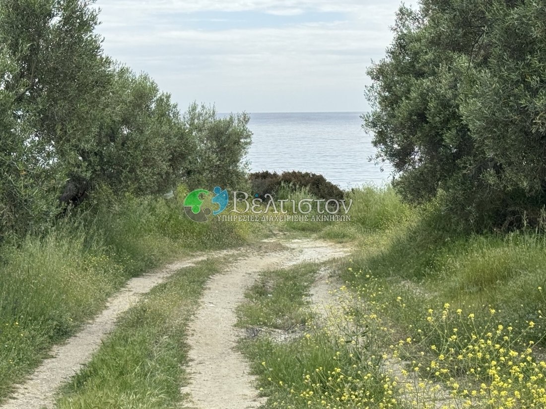 Land in Kassandra, Macedonia and Thrace, Greece 5 - 18725153