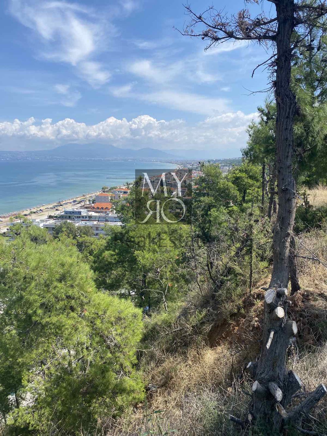 Land in Thermaikos, Macedonia and Thrace, Greece 1 - 18723506