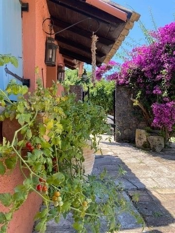 House in Northern Corfu, Peloponnese, Western Greece and the Ionian, Greece 4 - 18724885
