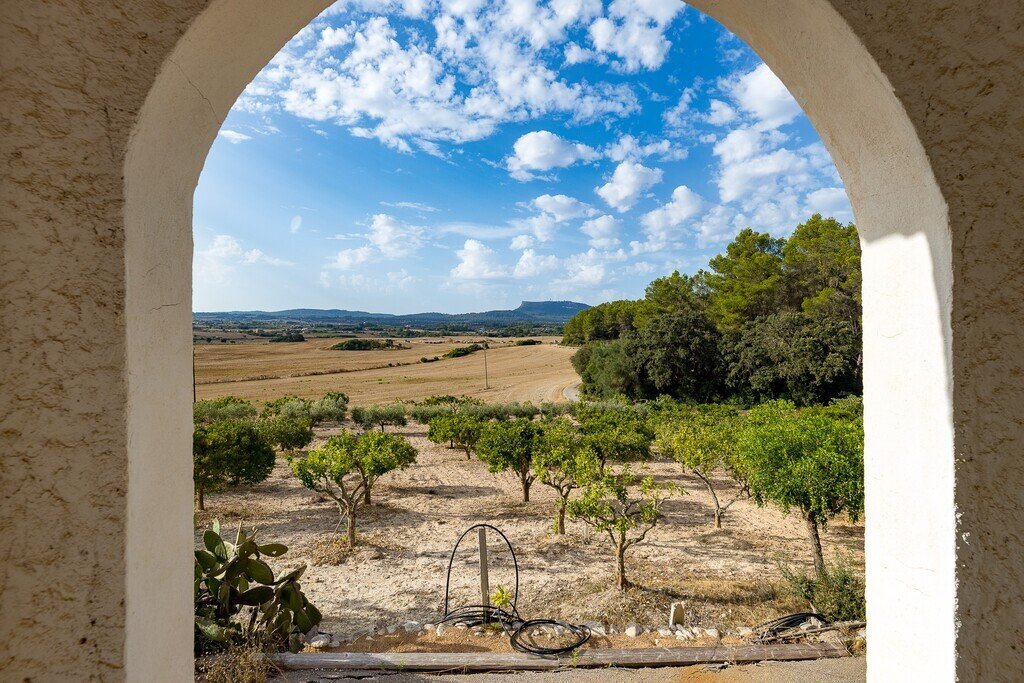 Finca in Algaida, Balearic Islands, Spain 5 - 18728146