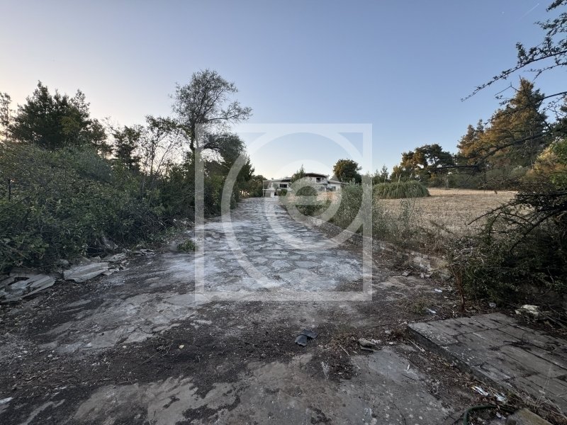 Terreno a Dionysos, Attica, Grecia 4 - 18722155