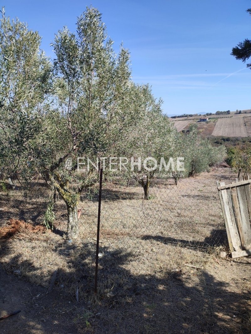 House in Central Macedonia, Macedonia and Thrace, Greece 2 - 18722799