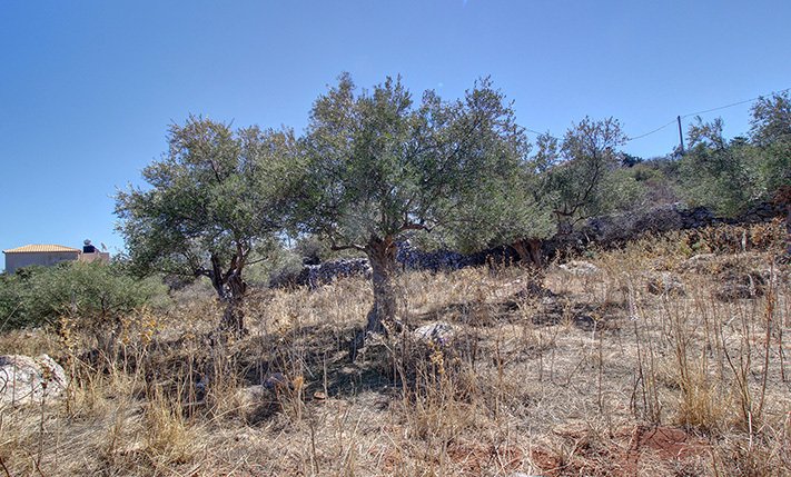 House in Apokoronas, Greece 5 - 18726016