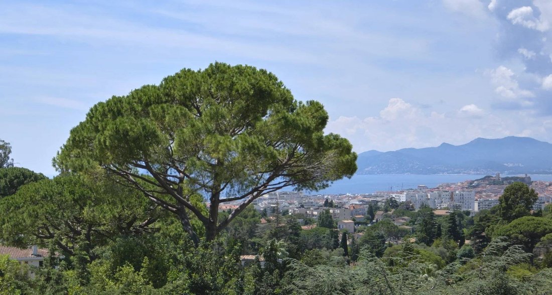 Villa en Cannes, Provenza-Alpes-Costa Azul, Francia 2 - 15948099