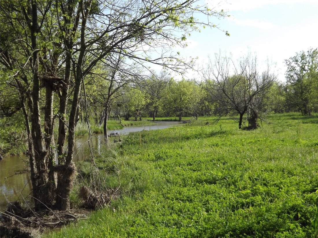 Farm Ranch in Austin, Texas, United States 3 - 15025100