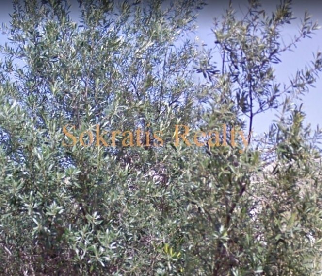Land in Egaleo, Attika, Griechenland 2 - 18725282