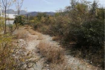 Land in Monterrey, Nuevo Leon, Mexico 5 - 18726160