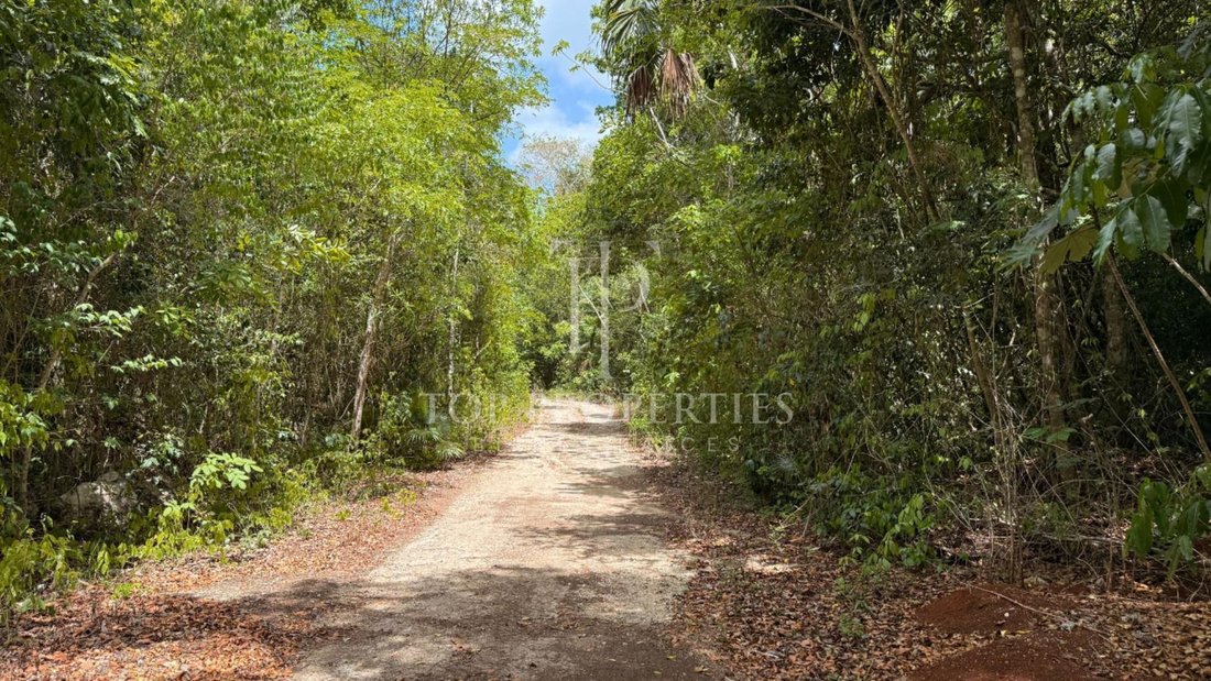 Terrain à Leona Vicario, Quintana Roo, Mexique 3 - 18725880