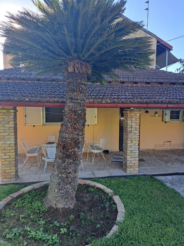 Haus in Northern Corfu, Peloponnese, Western Greece and the Ionian, Griechenland 2 - 18723452
